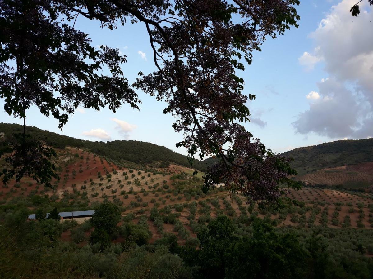 Casa De Aulabar Konuk evi Dış mekan fotoğraf
